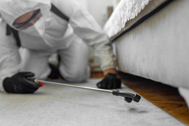 Professional Cockroach Control technician working in River Edge, NJ